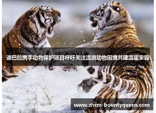 迪巴拉携手动物保护项目呼吁关注流浪动物困境共建温暖家园